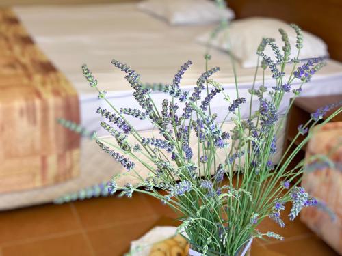 Hotel Plamena Palace - image 8