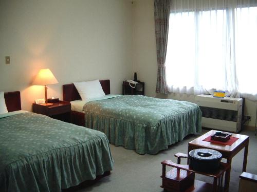Twin Room with Lake View