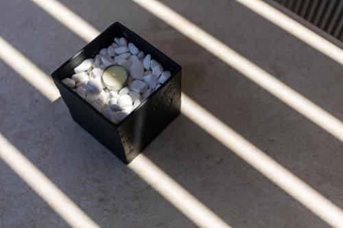 Lighthouse Apartments Lighthouse Apartments