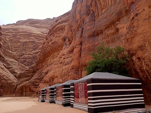 Shahrazad desert, Wadi Rum