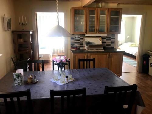 Kitchen, Holiday House in Okno, Monsteras in Kalmar City Center