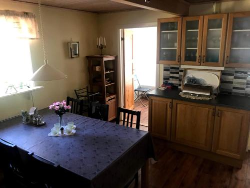 Kitchen, Holiday House in Okno, Monsteras in Kalmar City Center