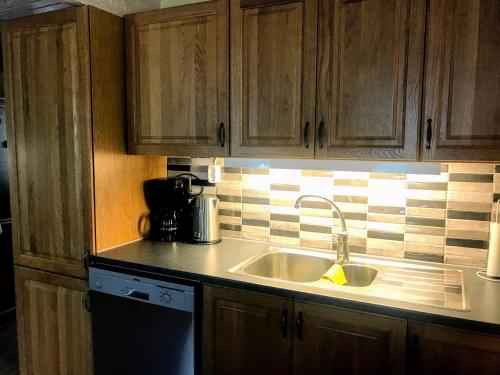 Kitchen, Holiday House in Okno, Monsteras in Kalmar City Center