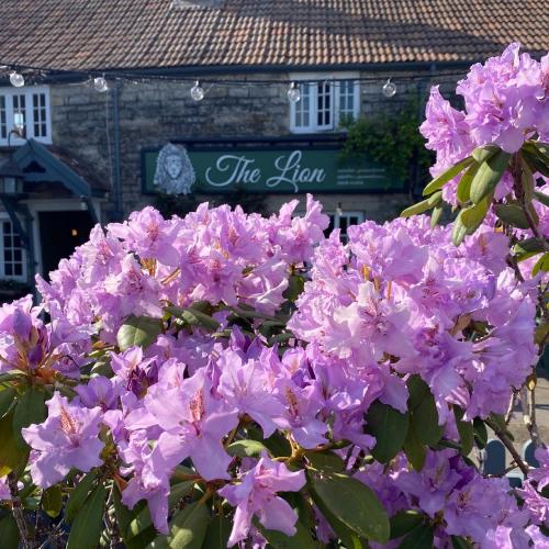 The Lion at West Pennard