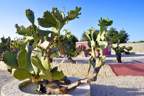 Casa Farlisa, villa esclusiva con piscina, jacuzzi, palestra, parco giochi, bbq a 5 minuti dal mare