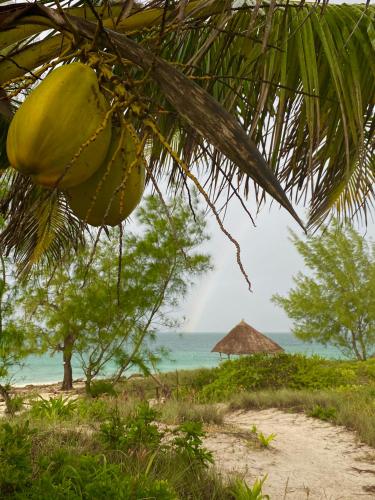 Namahamade Lodge Restaurante & Beach Bar in Mossuril