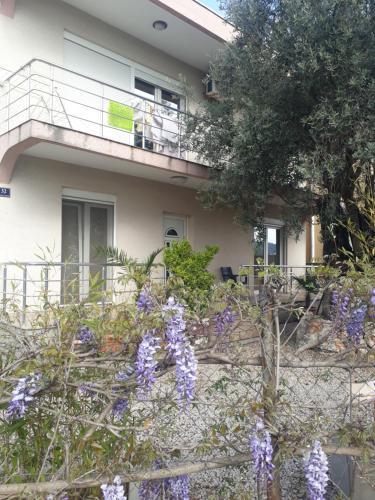 Under the Olive Tree