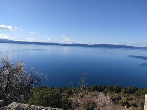 Apartman Krženić with sea view