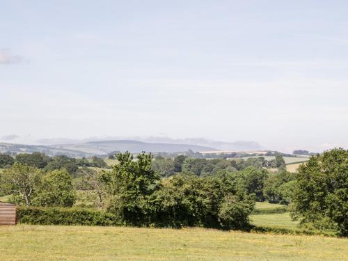 The Outlook - image 13