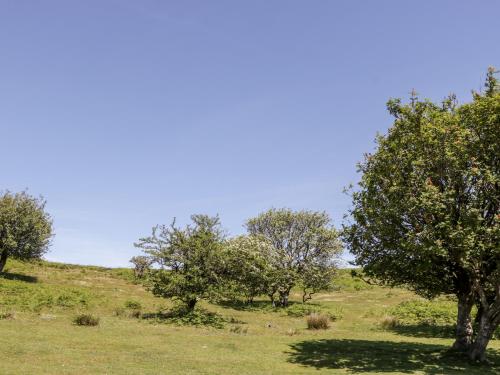 The Outlook - image 4