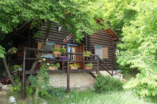 B&B Le Corone - Chalet nel Bosco - Apartment - Cavalo