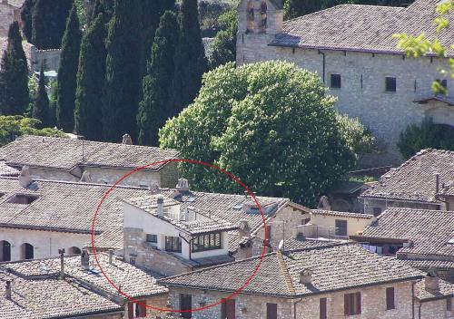 Nice Assisi - image 2