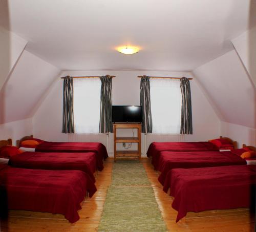 6-Bed Mixed Dormitory Room