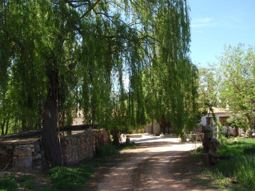 El Molino de Iramala - image 12