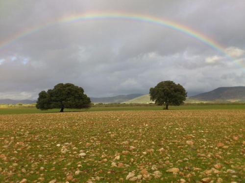 El Molino de Iramala