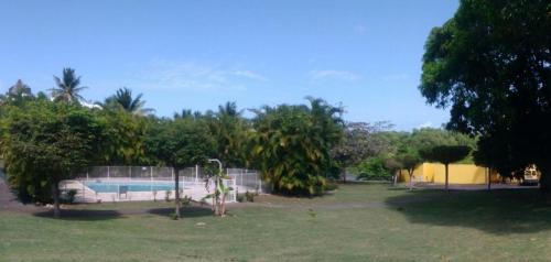 Bois Jolan, Sainte Anne.