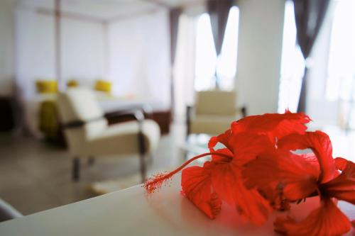 Al Camar Lodge