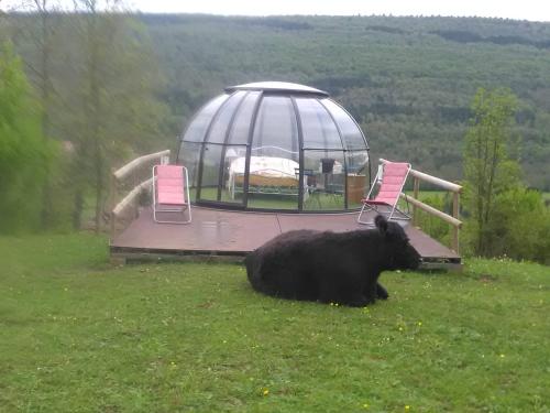 Ferme des baillards in Belesta