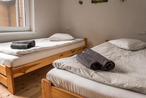 Camping & Camper place Pasvalys, Pasvalys (photo 8)