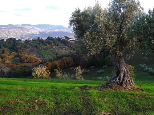 La dimora di Radha B&B Centro Olistico