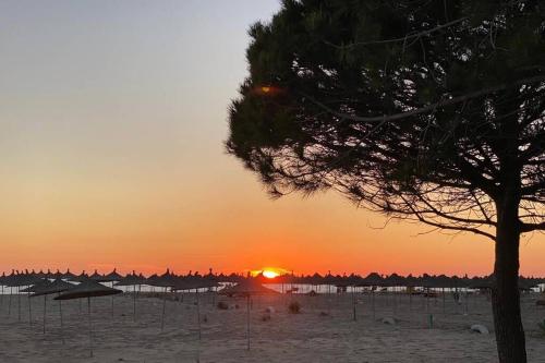 DEJA BLUE Beach House Bay of Lalzi Durres Gjiri Lalzit
