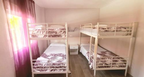 2 bunk beds