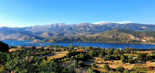  Darya Apartments in Argostoli