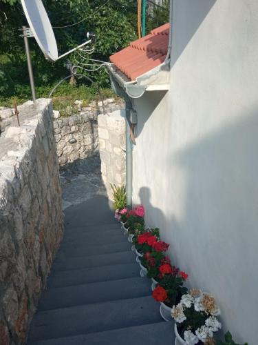 Apartment Rosić - image 9
