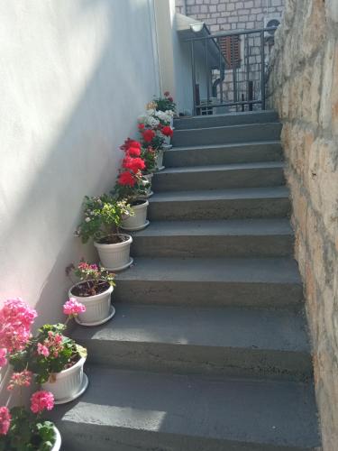 Apartment Rosić - image 6
