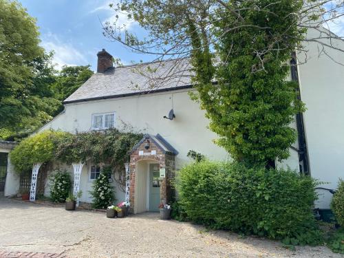 Heathcote House - Accommodation - Milborne Saint Andrew