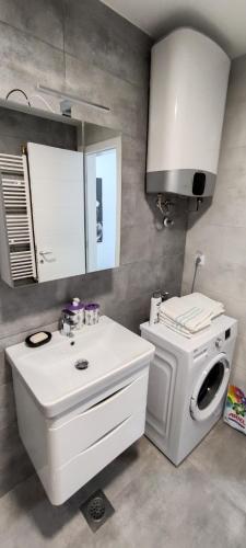One-Bedroom Apartment image 9