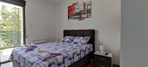 One-Bedroom Apartment image 5