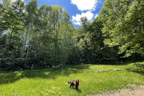 Joy's Chalet - Hottub, Lake, & Cottage