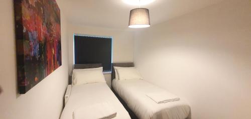 Garland Apartment, Greenhithe 5 - Netflix & Music