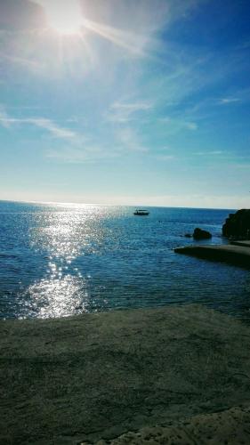 Oliva Apartments Lozica