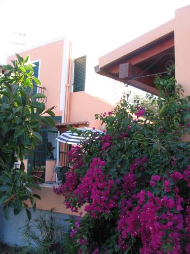 Fiordaliso - Holiday Housing 3