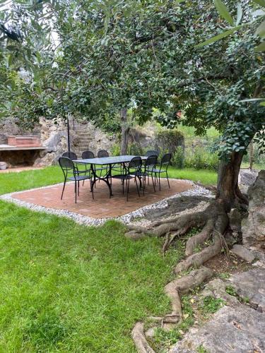  Villa Paolina Ceriale - app. 4 posti in Ceriale
