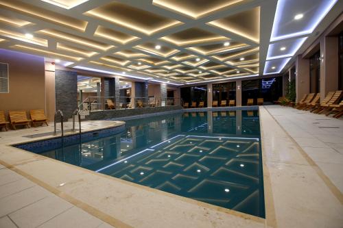 Swimming pool, Hotel Villa Volgy Wellness & Konferencia in Eger