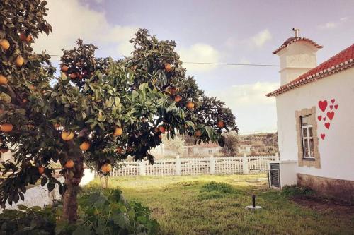 Casa dos Corações - Turismo Regenerativo