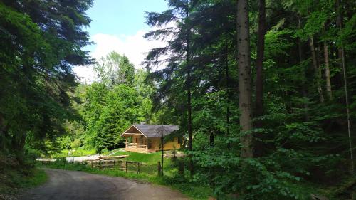 Bieszczady Domek Nad Stawem