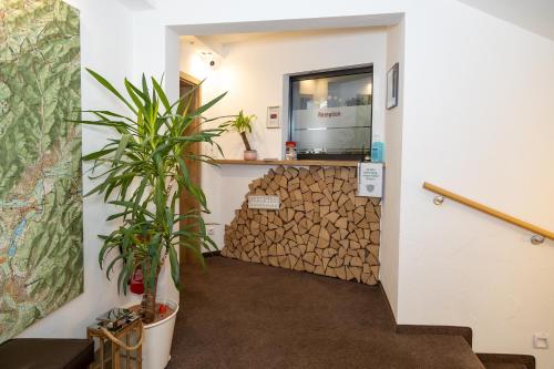 Фойє, Pension Klein in Bad Laasphe