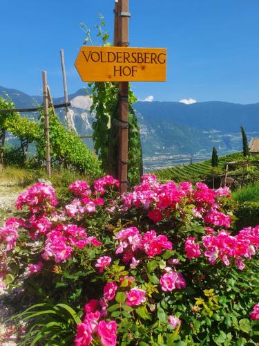 Voldersberghof