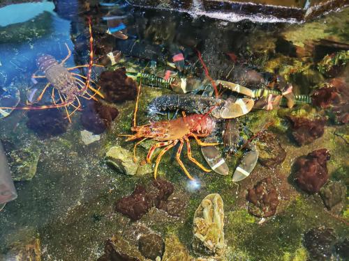 Hotel Las Rocas de Isla