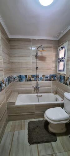 furnished flat Gameaat Aldewal