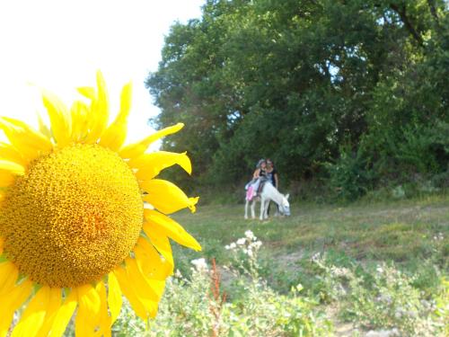 Domaine Jardin d'En Naoua