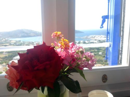 Apollo Suite Serifos