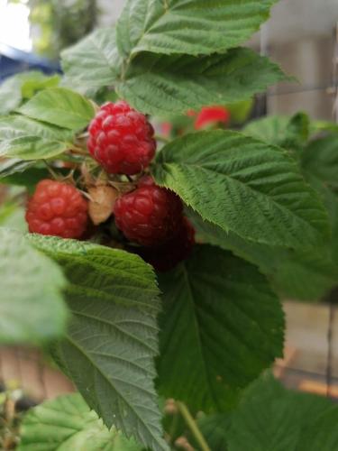 Casa OZZY&PATTY Casa OZZY&PATTY