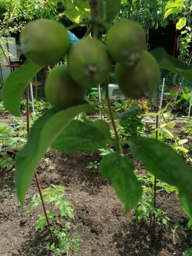 Casa OZZY&PATTY Casa OZZY&PATTY