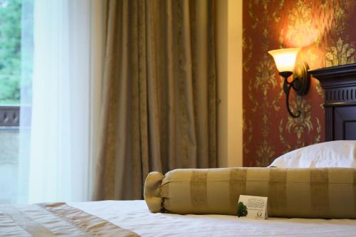 Hotel Foisorul Cu Flori In Sinaia Romania 200 Reviews Price