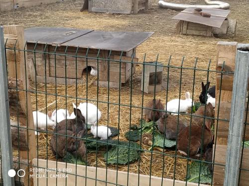 Gîte à la ferme